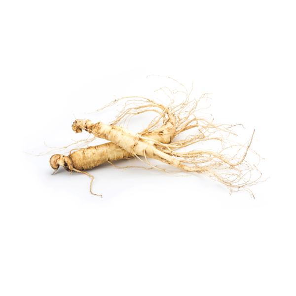 Ginseng