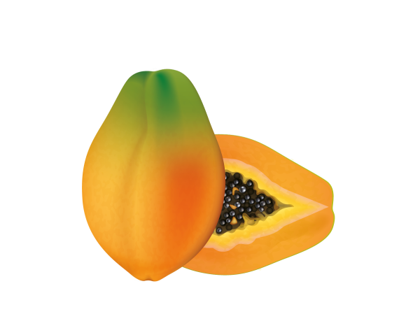 Illu Papaya 2022